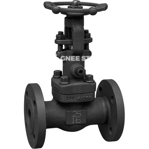 API 602 smidd portventil