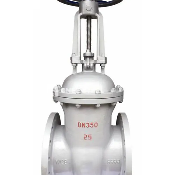 Karbonstålportventil