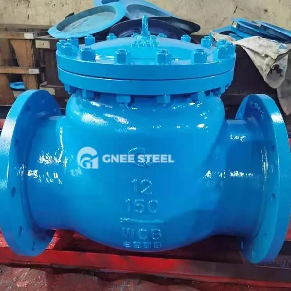 Industriell sjekkventil