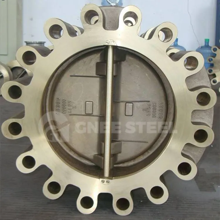 Lugged Wafer tilbakeslagsventil