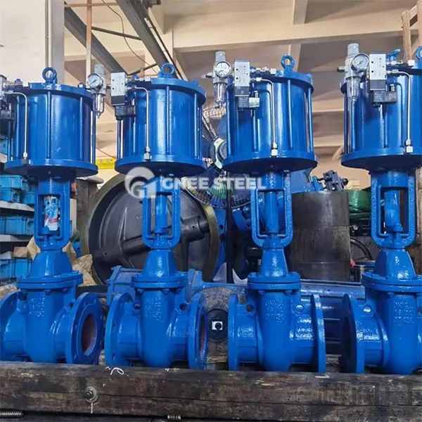 Pneumatiske kileportventiler